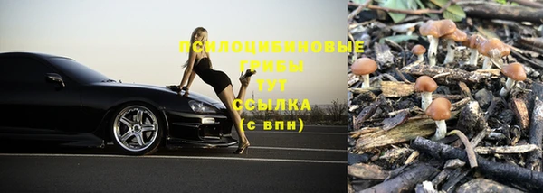 марки nbome Елабуга
