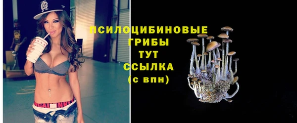 экстази Дмитриев