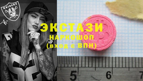 молекула духа Ельня