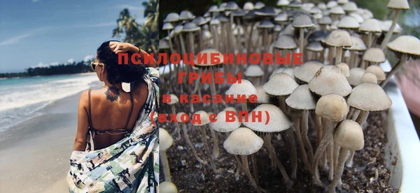 ПСИЛОЦИБИНОВЫЕ ГРИБЫ Заволжск