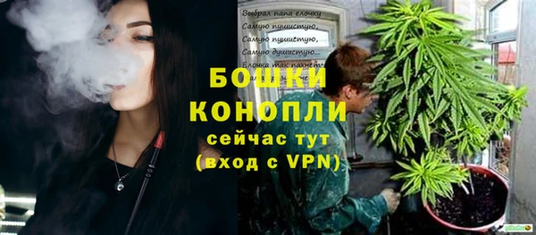 молекула духа Ельня