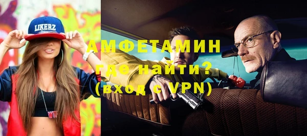 молекула духа Ельня