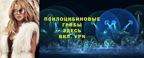 бошки Заводоуковск