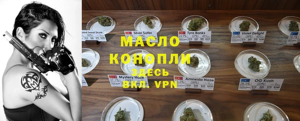 молекула духа Ельня