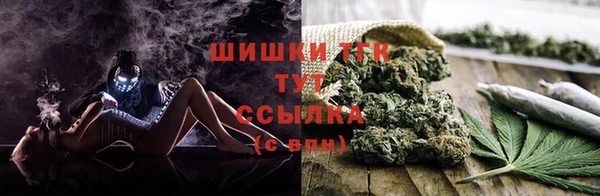 молекула духа Ельня